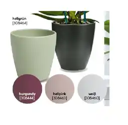 Hellweg Orchideentopf „Thalia“ hellpink 308463 HELLWEG Angebot