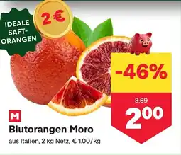 MPreis Blutorangen moro Angebot