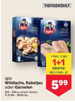 MPreis Wildlachs kabeljau oder garnelen Angebot