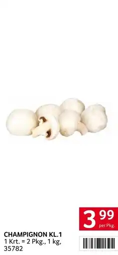 Transgourmet Champignon kl.1 Angebot