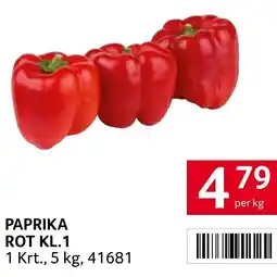 Transgourmet paprika rot kl.1 Angebot