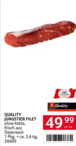 Transgourmet Quality jungstier filet Angebot