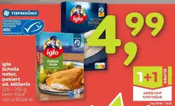 ADEG iglo Scholle natur paniert od. Müllerin Angebot