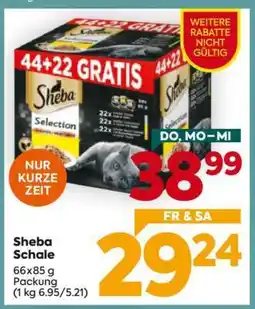 Billa Sheba Schale Angebot