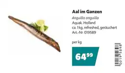 Eurogast Grissemann Aal im Ganzen Angebot