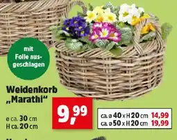 Thomas Philipps Weidenkorb Marathi Angebot
