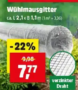 Thomas Philipps Wühlmausgitter Angebot