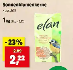Thomas Philipps Sonnenblumenkerne Angebot
