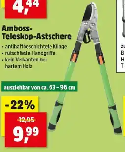 Thomas Philipps Amboss- Teleskop-Astschere Angebot