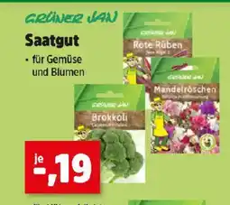 Thomas Philipps Saatgut Angebot