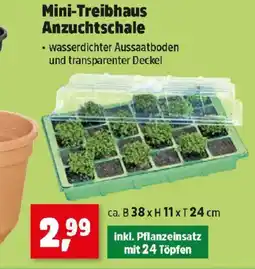 Thomas Philipps Mini-Treibhaus Anzuchtschale Angebot