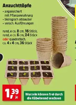 Thomas Philipps Anzuchttöpfe Angebot