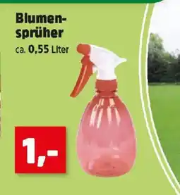 Thomas Philipps Blumen- sprüher Angebot