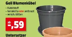 Thomas Philipps Geli Blumenkübel Angebot