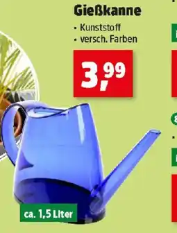 Thomas Philipps Gießkanne Angebot