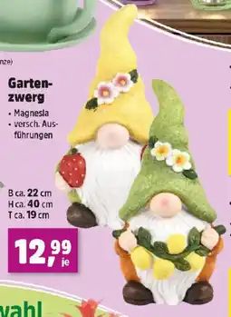 Thomas Philipps Garten- zwerg Angebot