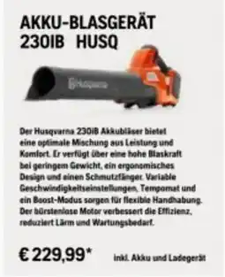 Lagerhaus Akku-blasgerät Angebot