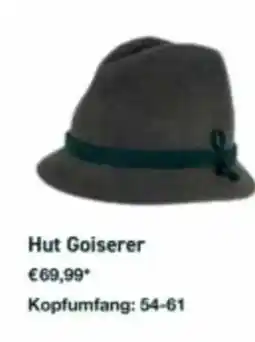 Lagerhaus Hut Goiserer Angebot