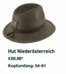 Lagerhaus Hut Niederösterreich Angebot
