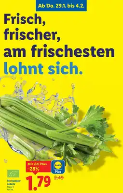 Lidl Bio Stangen- sellerie Angebot
