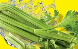 Lidl Bio-Stangensellerie Angebot