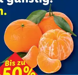 Lidl Mandarinen Angebot