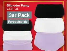 Woolworth Damen Slips Angebot
