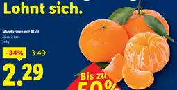 Lidl Mandarinen mit Blatt Angebot