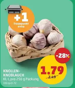 PENNY Knollen- knoblauch Angebot