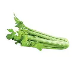 Lidl Bio Stangensellerie Lidl APP Preis Angebot