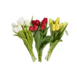 Lidl Tulpenstrauß einfärbig Lidl Angebot