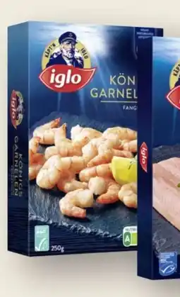MPreis Iglo Wildlachs Angebot