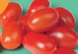 PENNY Echt Bio Snacktomaten Angebot