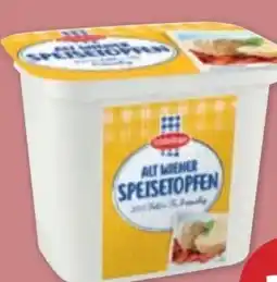 PENNY Schärdinger Alt Wiener Speisetopfen Angebot