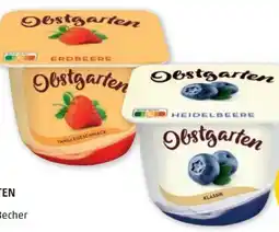 PENNY Danone Obstgarten Angebot