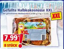 Norma Gefüllte Halbkokosnüsse XXL Angebot