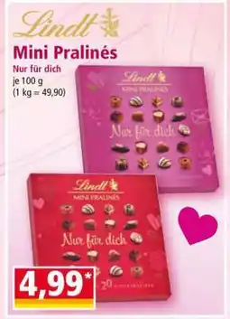 Norma Lindt Mini Pralinés Angebot