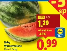 Lidl Baby Wassermelone Angebot