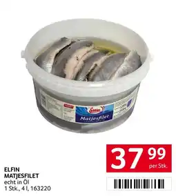 Transgourmet Elfin matjesfilet Angebot