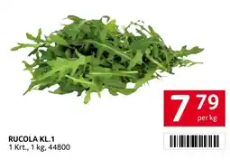 Transgourmet Rucola Angebot