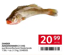Transgourmet Zander ausgenommen Angebot