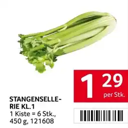 Transgourmet Stangenselle- rie Angebot