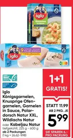 Maximarkt Iglo Königsgarnelen Angebot