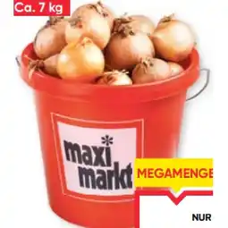 Maximarkt 10 Liter Kübel mit österr. Zwiebeln Maximarkt Angebot
