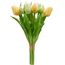 Mömax Tulpe „TULPENBUND“ 4297361001 mömax Angebot
