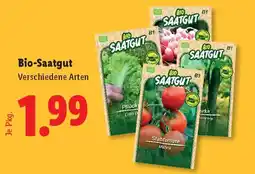 Lidl Bio-Saatgut Angebot