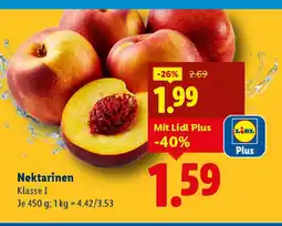 Lidl Nektarinen Angebot