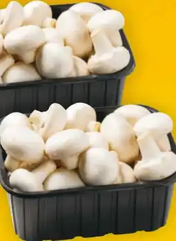 Billa Champignons Weiß Angebot