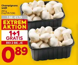Billa Champignons weiß Angebot