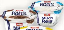 Billa Müller Milchreis Angebot